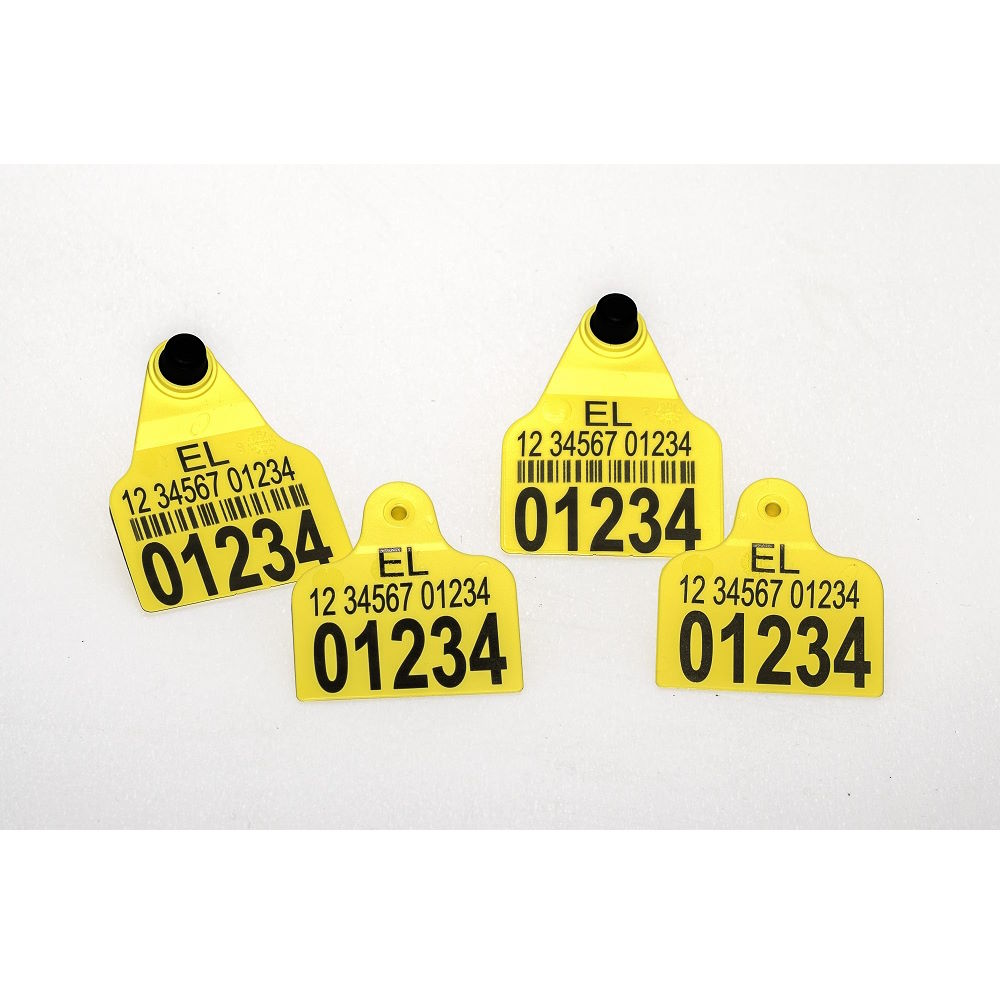 Gallery Item 5